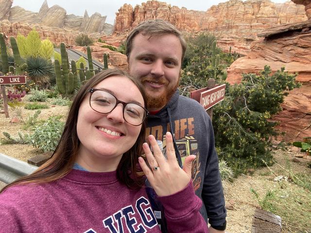 Photo of our Disneyland proposal